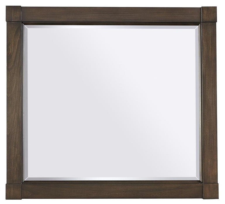 Asphenhome Easton Landscape Mirror in Burnt Umber image